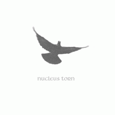 logo Nucleus Torn